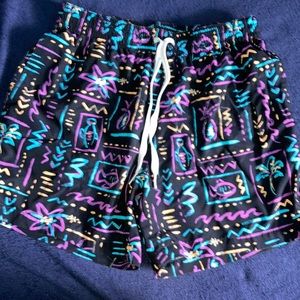 Chubbies the nine T’s shorts